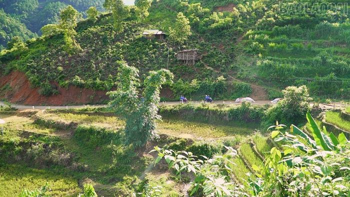 Vượt qua những trở ngại về giao thông, các đoàn viên, thanh niên xã Hạnh Phúc vẫn đều đặn có mặt tại các thôn, bản để thực hiện chuyển đổi số.