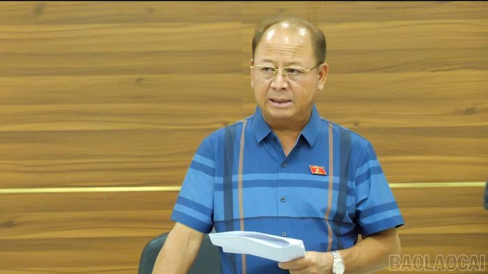  Đồng chí Sùng A Lềnh - Phó Trưởng đoàn Đại biểu Quốc hội chuyên trách tỉnh Lào Cai phát biểu tại buổi giám sát. 