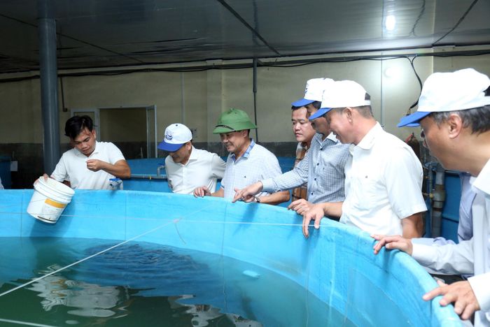 Đồng chí Lê Trọng Yên, Ủy viên Ban Thường vụ Tỉnh ủy, Phó Chủ tịch Thường trực UBND tỉnh Lâm Đồng tham quan mô hình nuôi cá mú của Công ty Cổ phần Đầu tư thủy sản Nam miền Trung