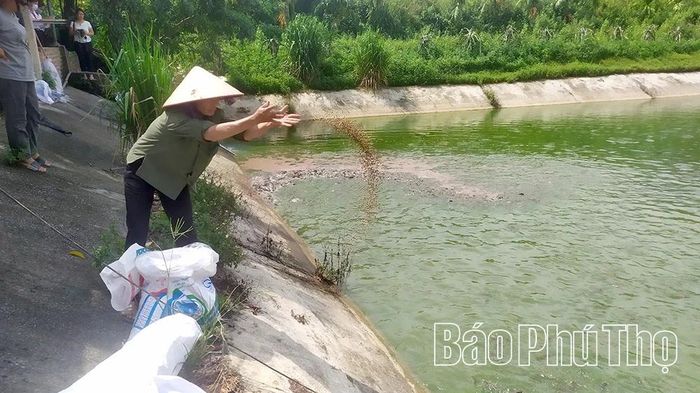 Mô hình trang trại tổng hợp của gia đình chị Trịnh Thị Hưng, xã Phú Khê sản xuất theo hướng tuần hoàn mang lại hiệu quả kinh tế cao, tạo việc làm và thu nhập cho hàng chục lao động địa phương.