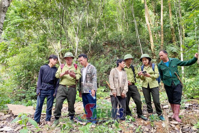 Ban Quản lý rừng đặc dụng phòng hộ Sốp Cộp ứng dụng thiết bị thông minh trong quản lý, bảo vệ rừng.