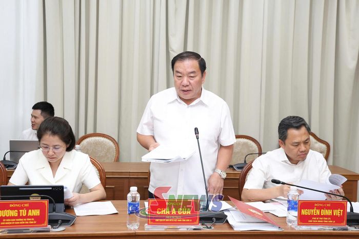 Đồng chí Phó Bí thư Tỉnh ủy, Chủ tịch Ủy ban MTTQ Việt Nam tỉnh, phát biểu tại cuộc họp.