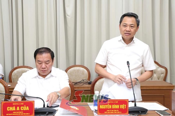 Đồng chí Phó Bí thư Tỉnh ủy, Chủ tịch UBND tỉnh, phát biểu tại cuộc họp.