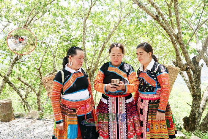 Cán bộ Hội LHPN xã Tà Xùa hướng dẫn hội viên xây dựng kênh TikTok để quảng bá sản phẩm.
