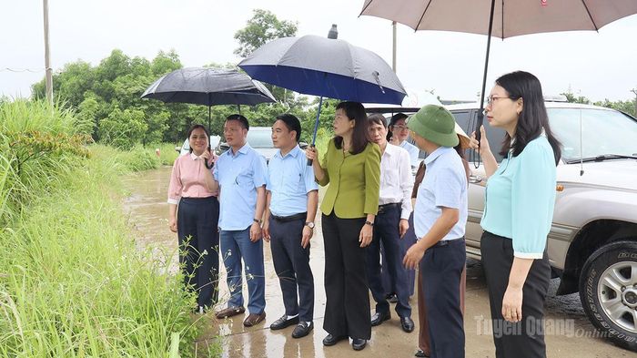 Đoàn giám sát thực tế tại phường Bình Thuận về quản lý, sử dụng đất và giao đất, cho thuê đất đối với các tổ chức kinh tế.
