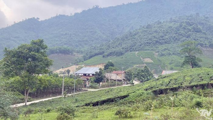 Theo Quyết định 2277/QĐ-UBND của UBND tỉnh Thái Nguyên, toàn tỉnh còn 290 thôn đặc biệt khó khăn và 1.046 thôn vùng đồng bào DTTS&MN.