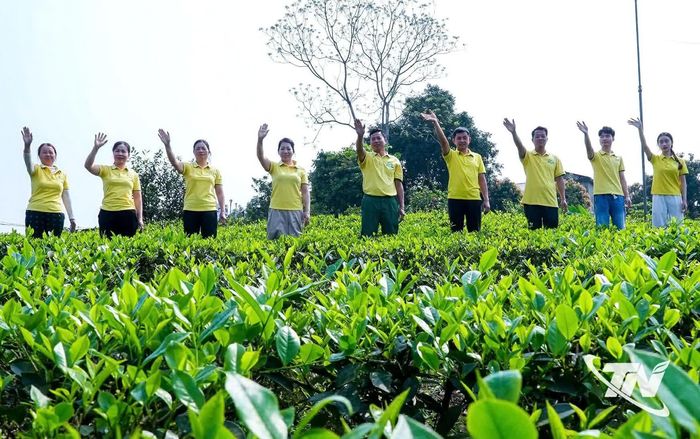 Các chủ thể OCOP tích cực áp dụng quy trình sản xuất an toàn, từng bước nâng cao chất lượng và giá trị sản phẩm.