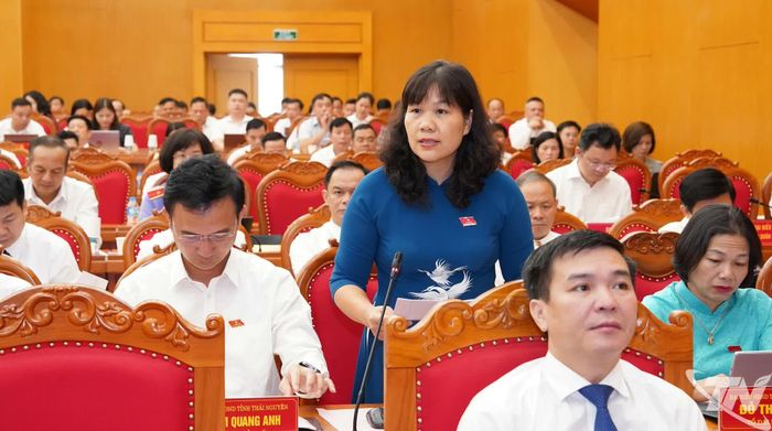 Đại biểu chất vấn.