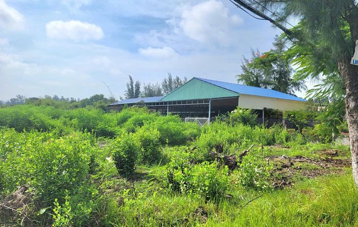 Chủ tịch UBND TP. Hồ Chí Minh vừa có ý kiến chỉ đạo xử lý đối với công trình phục vụ sản xuất trên đất nông nghiệp. Trong ảnh, một công trình xây dựng tại một khu đất ở huyện Cần Giờ cũ. Ảnh: Quang Phương