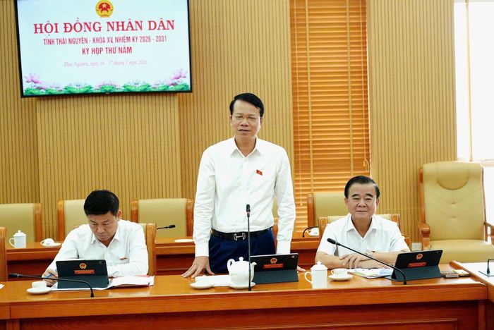 Đại biểu phát biểu thảo luận tổ tại Kỳ họp thứ Năm, HĐND dân tỉnh Thái Nguyên khóa XV. Ảnh: Nguyễn Ánh
