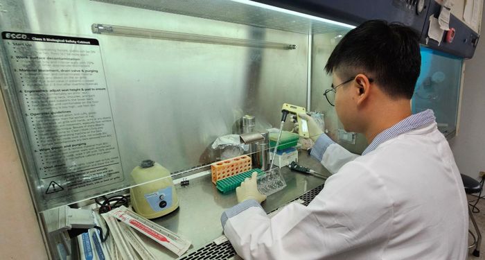 Hải Hưng thực hành tại phòng thí nghiệm. Ảnh: NVCC