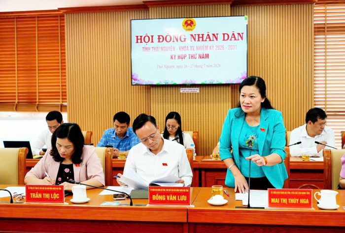 Ủy viên Ban Thường vụ Tỉnh ủy, Phó Chủ tịch HĐND tỉnh Mai Thị Thúy Nga phát biểu. Ảnh: Nguyễn Ánh
