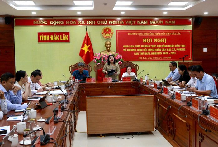 Phó Bí thư Thường trực Tỉnh ủy, Chủ tịch HĐND tỉnh Cao Thị Hòa An phát biểu kết luận hội nghị