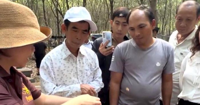 Đầu tư chất lượng, truy xuất nguồn gốc và bảo vệ nhãn hiệu giúp các HTX mật ong Gia Lai nâng uy tín, đồng thời hạn chế nguy cơ hàng giả, hàng nhái. 