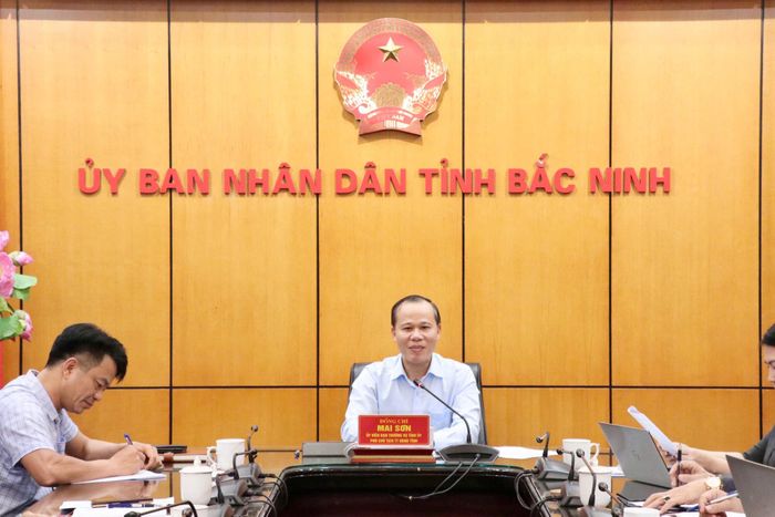Đồng chí Mai Sơn, Phó Chủ tịch Thường trực UBND tỉnh Bắc Ninh phát biểu kết luận buổi làm việc.