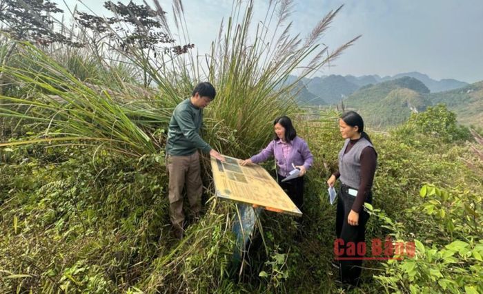 Ban Quản lý Công viên địa chất Non nước Cao Bằng phối hợp với xã Lý Quốc kiểm tra, khảo sát điểm di tích Đồn Pháp góp phần bảo tồn và phát huy giá trị di tích gắn với phát triển du lịch địa chất.