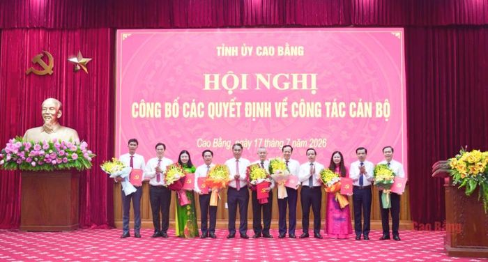 Thường trực Tỉnh ủy trao các quyết định về công tác cán bộ.