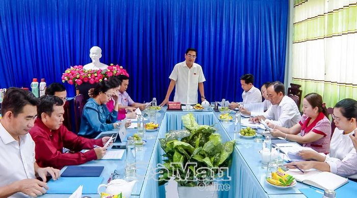 Đồng chí Hoàng Đình Liêm, Trưởng ban Pháp chế, HĐND tỉnh Cà Mau, phát biểu kết luận buổi làm việc.