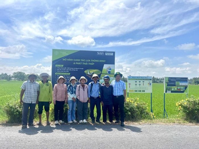  Cán bộ Trung tâm Khuyến nông và Dịch vụ nông nghiệp TP. Cần Thơ phối hợp cùng Công ty TNHH Bayer Việt Nam và Công ty Cổ phần Phân bón Bình Điền II khảo sát mô hình canh tác lúa thông minh và phát thải thấp. Ảnh: ĐVCC. 