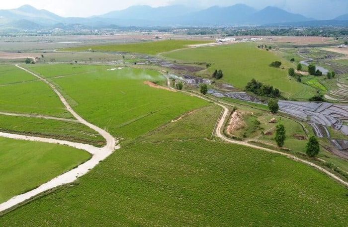Siêu trang trại của Vinamilk tại Lào với quy mô lên đến 100.000 con bò.