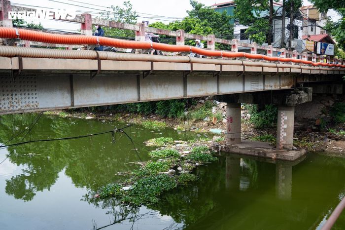 Theo đề xuất, Tập đoàn Geleximco sẽ là nhà đầu tư thực hiện dự án xây dựng, tu bổ các hạng mục xung yếu của hệ thống đê điều, nạo vét lòng sông và xử lý ô nhiễm, dự kiến triển khai trong giai đoạn 2026-2029.