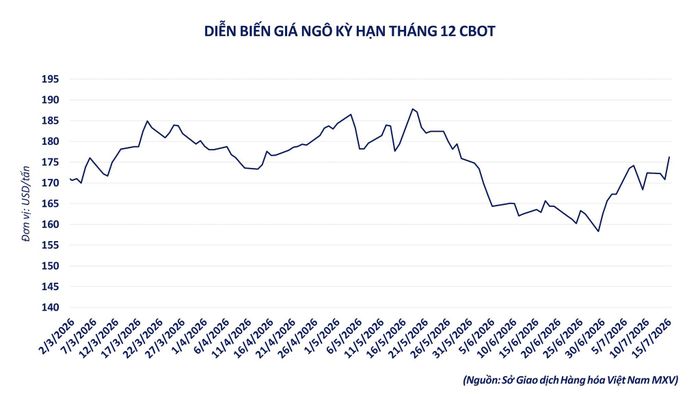 Diễn biến giá ngô kỳ hạn tháng 12. Nguồn: MXV