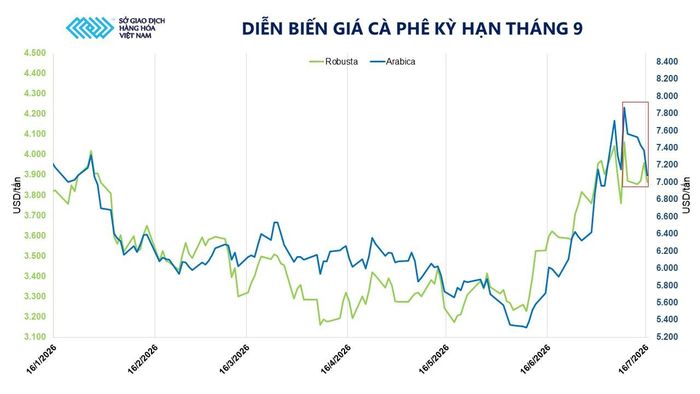 Diễn biến giá cà phê kỳ hạn tháng 9. Nguồn: MXV