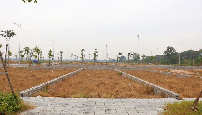 Thời gian gần đây khi các quy định được siết chặt, hoạt động đấu giá đã dần đi vào quy củ. Ảnh: Doãn Thành