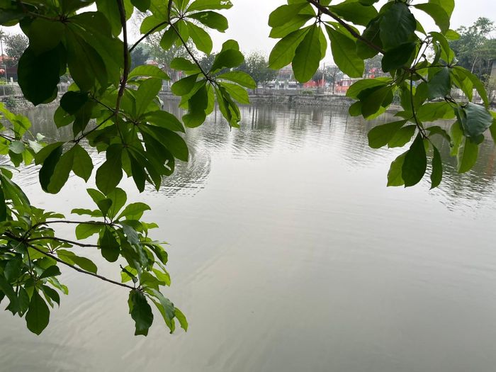 Hà Nội đang đứng trước cơ hội đặc biệt để chuyển đổi sang phát triển bền vững. Ảnh: Kiều Thoan Thu