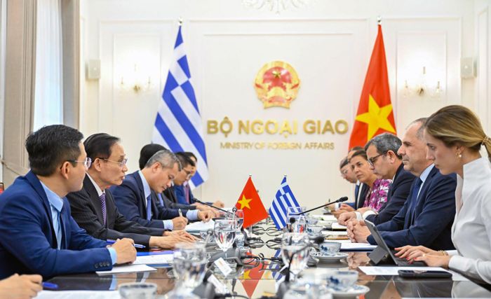 Toàn cảnh buổi làm việc. Ảnh: Bộ Ngoại giao cung cấp