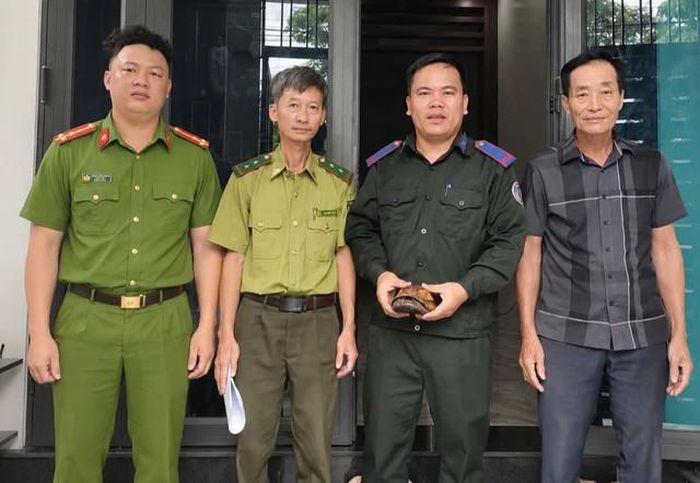 Lực lượng chức năng tiếp nhận cá thể rùa vàng quý hiếm. Ảnh: CAHT.