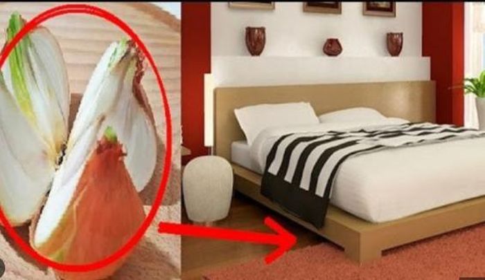 Hành tây có thể có mùi khó chịu nhưng lợi ích của việc đặt hành tây trên tủ đầu giường hoặc gần giường của bạn khi bạn ngủ là vô cùng lớn.