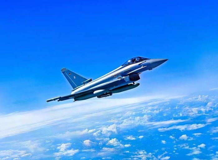 Hai máy bay chiến đấu Rafale của Pháp có khả năng mang vũ khí hạt nhân, và hai tiêm kích đa năng Eurofighter Typhoon (EF-2000) của Đức đã tham gia cuộc tập trận.