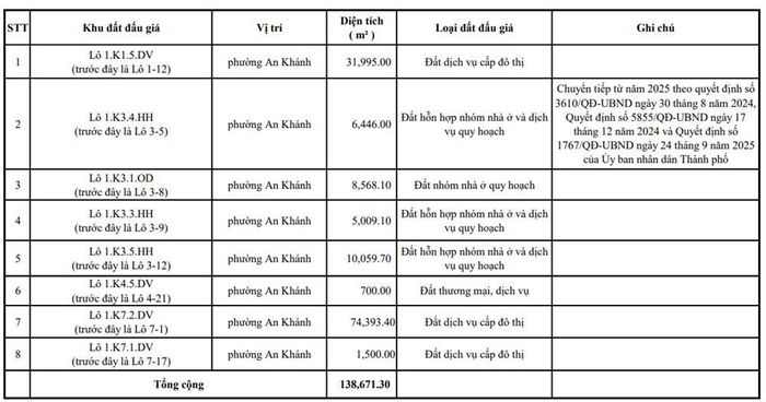 Danh sách 8 lô đất được đấu giá. Ảnh chụp màn hình