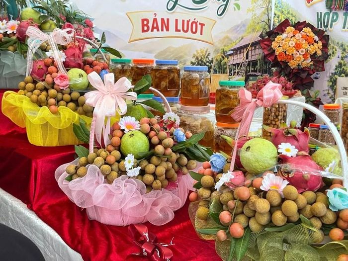 Toàn xã Chiềng Khoong hiện có 1.165ha nhãn, sản lượng ước đạt 6.500 tấn. Cây nhãn tiếp tục khẳng định vai trò là cây trồng chủ lực, mang lại thu nhập ổn định và tạo động lực thúc đẩy chế biến, thương mại, dịch vụ cùng phát triển