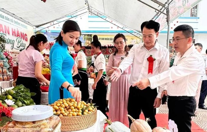 Long nhãn Chiềng Khoong từ lâu đã nổi tiếng bởi vị ngọt đậm, hương thơm đặc trưng và cùi dày óng ả. Được chế biến thủ công bằng phương pháp sấy than truyền thống kết hợp công nghệ sấy nhiệt sạch, sản phẩm không chỉ giữ trọn hương vị tự nhiên mà còn đảm bảo an toàn, được thị trường trong và ngoài nước ưa chuộng