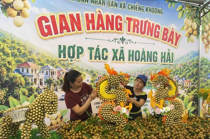 Từ bếp lửa hồng của lò sấy truyền thống đến những phiên chốt đơn trên nền tảng số, Chiềng Khoong đang cho thấy một cách làm mới, năng động để đưa đặc sản nhãn vươn xa, nâng cao giá trị nông sản và thúc đẩy chuyển đổi số trong phát triển nông nghiệp