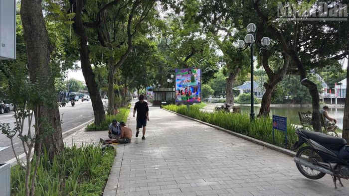 Hệ thống cây xanh hiện hữu cơ bản được giữ nguyên trong giai đoạn chuẩn bị thi công; những cây ảnh hưởng đến quy hoạch sẽ được đánh chuyển đến vị trí phù hợp.