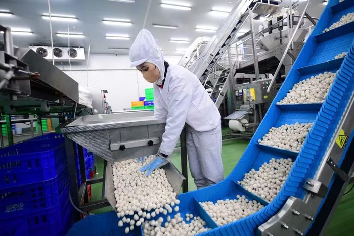 Dây chuyền chế biến thực phẩm tại Công ty cổ phần LC foods. (Ảnh: ĐỖ BẢO)
