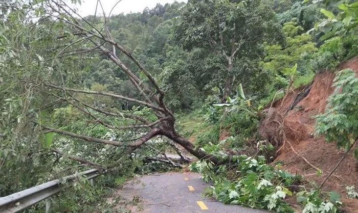 Nhiều tuyến đường liên xã trong tỉnh Điện Biên bị sạt lở từ ta-luy dương xuống nền đường, gây khó khăn cho phương tiện di chuyển.