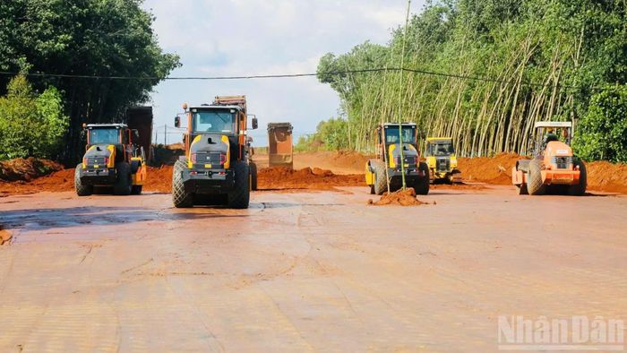 Nhà thầu huy động nhiều máy móc, nhân công thi công hạng mục san, lu nền đường.