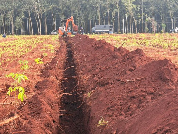Đội K72 vẫn đang tích cực tìm kiếm tại Minh Đức.