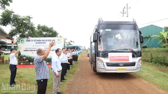 Việc tổ chức đón tiếp các doanh nghiệp quốc tế đến khảo sát và trải vườn trồng sầu riêng được Dakruco tổ chức chu đáo, đây là tín hiệu vui mở đầu về một Lễ hội Sầu riêng Đắk Lắk năm 2026 thành công rực rỡ.