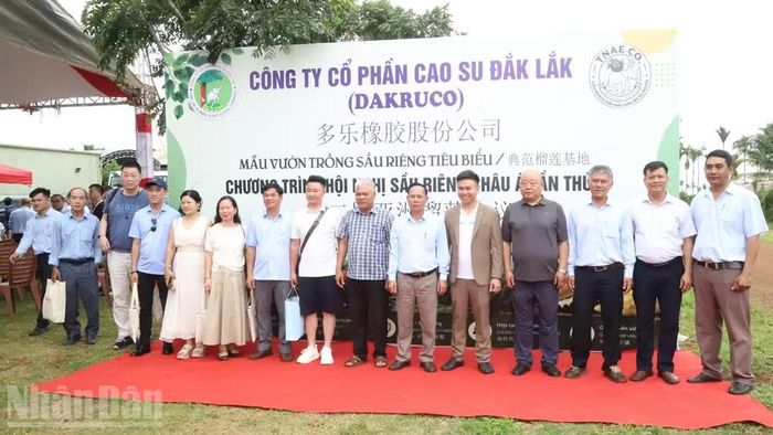 Đoàn doanh nghiệp quốc tế tham gia Hội nghị sầu riêng châu Á lần thứ 2 tại Thành phố Hồ Chí Minh đến khảo sát và trải nghiệm vườn trồng sầu riêng của Dakruco.