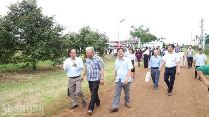 Lãnh đạo phường Cư Bao và Dakruco cùng các doanh nghiệp tham quan, tải nghiệm vườn sầu riêng.