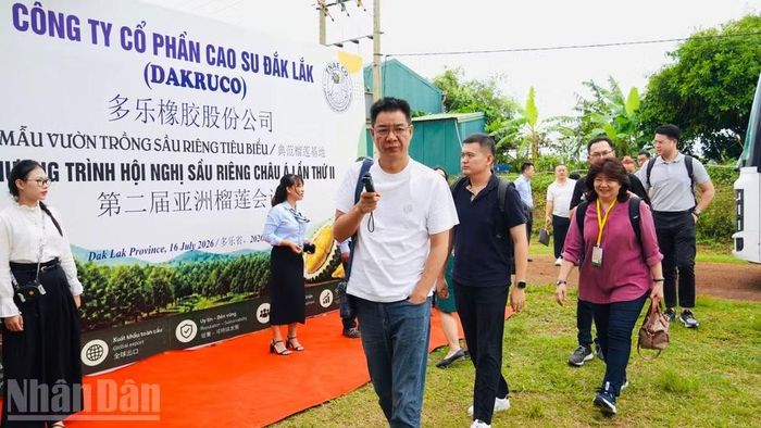 Các doanh nghiệp của Trung Quốc đến thăm và khảo sát vườn trồng sầu riêng của Dakruco.