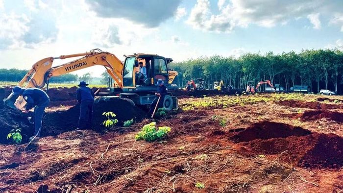 Khu vực tìm kiếm tại xã Minh Đức, thành phố Đồng Nai.