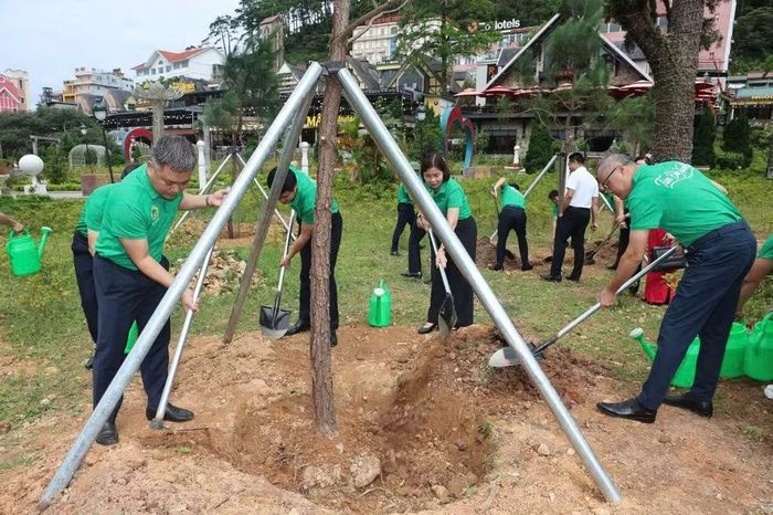 Các đại biểu trồng cây tại Khu du lịch quốc gia Tam Đảo.