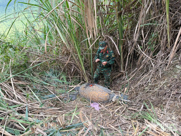 Cán bộ Ban Công binh, Bộ CHQS tỉnh Nghệ An thực hiện các biện pháp nghiệp vụ để hủy nổ quả bom.