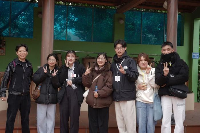 Gia Bảo cùng đoàn sinh viên Trường Đại học Ryukoku (Nhật Bản) tham quan đồi chè Thái Nguyên.